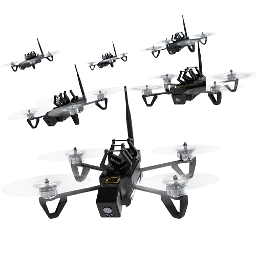 Bee Colony drone