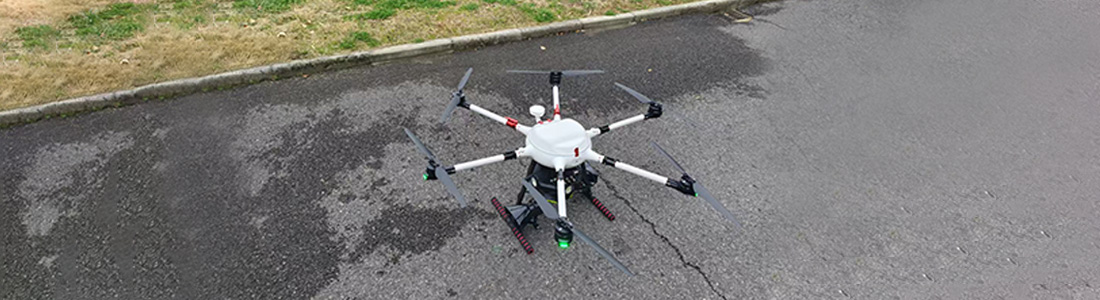 Bird-driving drones guard golden rape fields