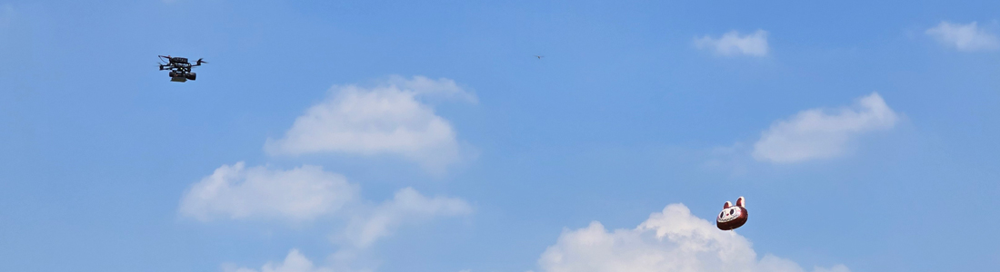 Netting and traversing machines to harden the control of small black flights