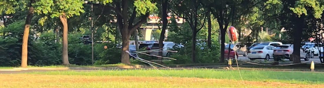 Net fishing machine: the new guardian of airspace security